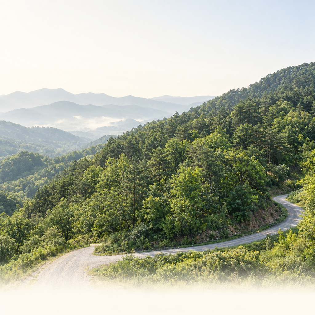 상담 전 서류 점검